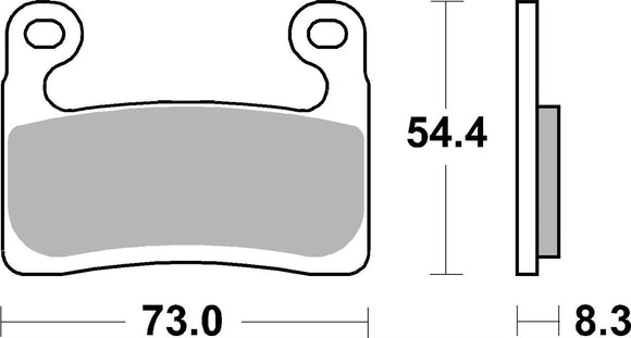 BMW S 1000 [2020-2024] - Dual Sinter brake pads