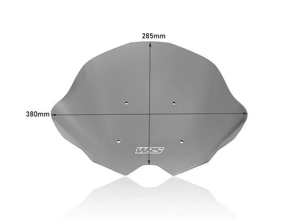 KTM 790 DUKE [WRS] - Windshield