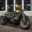 harley davidson sportster s rh 1250 s [HEINZ BIKES] – NANO Strahler-4