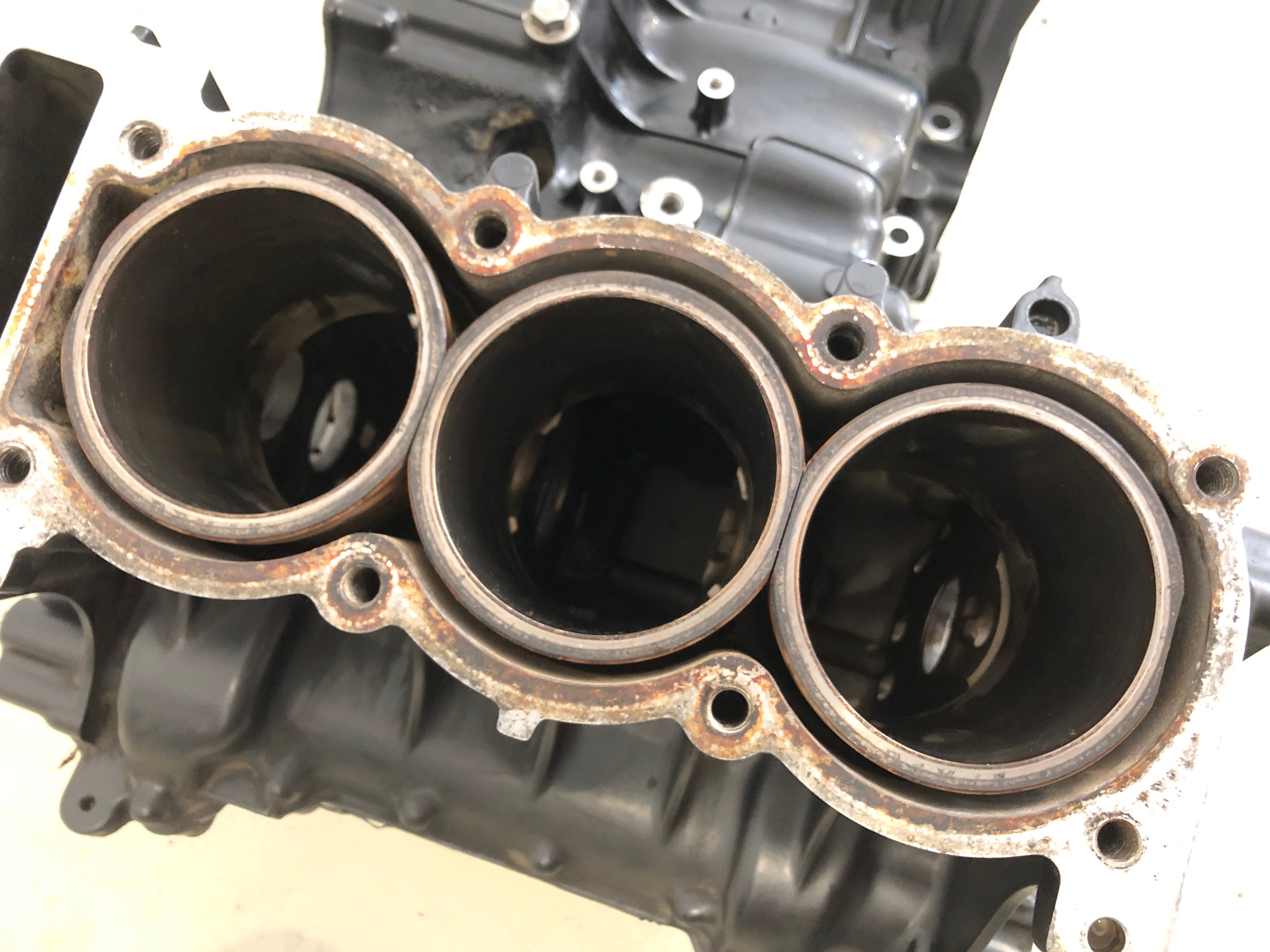 Triumph Tiger 955i 709EN [2001] - Engine block engine housing