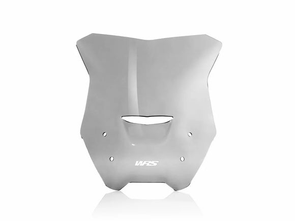 BMW R 1200 R [WRS] – Windschild