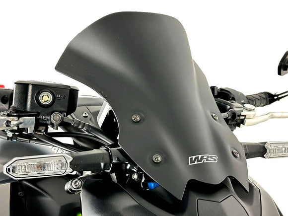 Kawasaki Z 900 [WRS] - frontrute