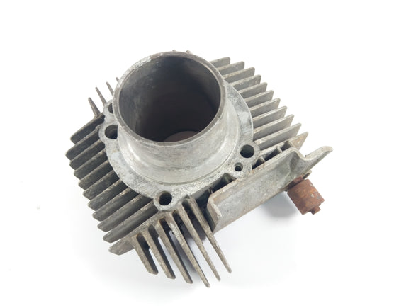 Ducatipah - Cagiva Alazzurra - Cylinder