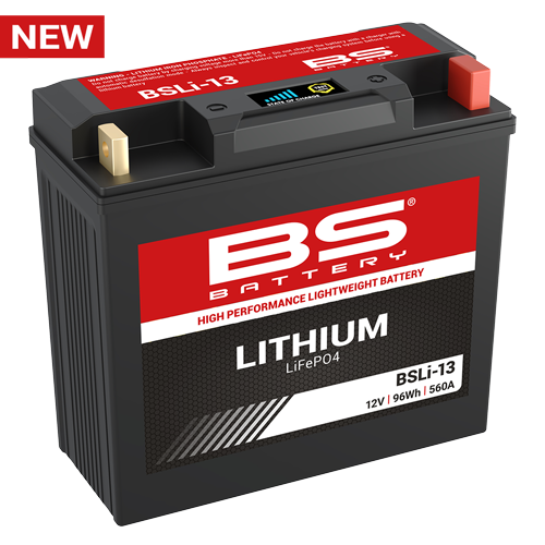 BMW R 1100 R TYPE 259 [1993-2001] - Lithium battery
