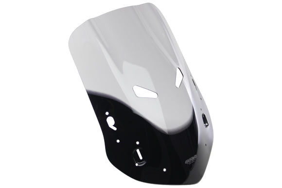 ホンダCBF 600 s [2004-]  - ツーリングディスク「TM」