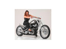 Harley Davidson Sportster [2014-2020] -Nitro-18 Disque de frein à 2 parties noir-9