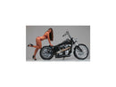 Harley Davidson Touring [2008-2024] – Supercharger 2-teiliger Bremsscheibe hinten-3