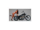 Harley Davidson Touring [2008-2024] – Supercharger 2-teiliger Bremsscheibe hinten-8