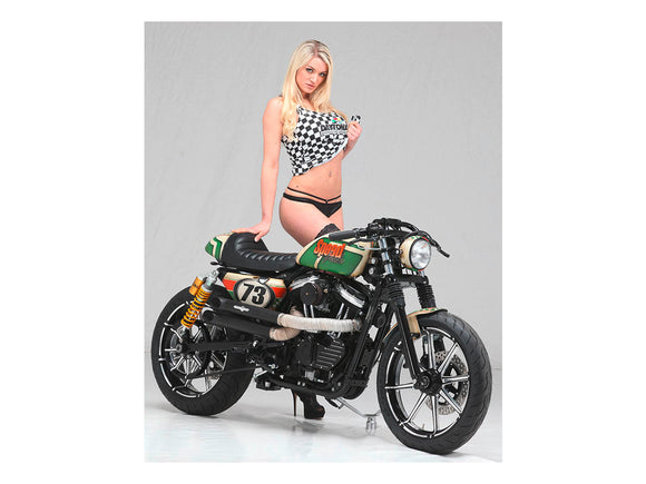 Harley Davidson Sportster [2014-2020] – Velocity 2-teiliger Bremsscheibe Schwarz