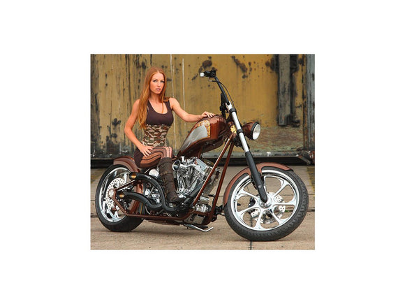 Harley Davidson Touring [2008-2024] -Eliminator-7 Disco de freio atrás