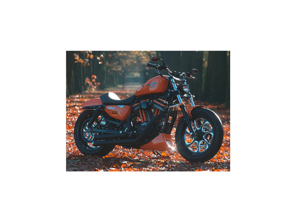 Harley Davidson Dyna [2000-2005] -eliminator 7 vyölevy musta 1/8 "70 hammasta