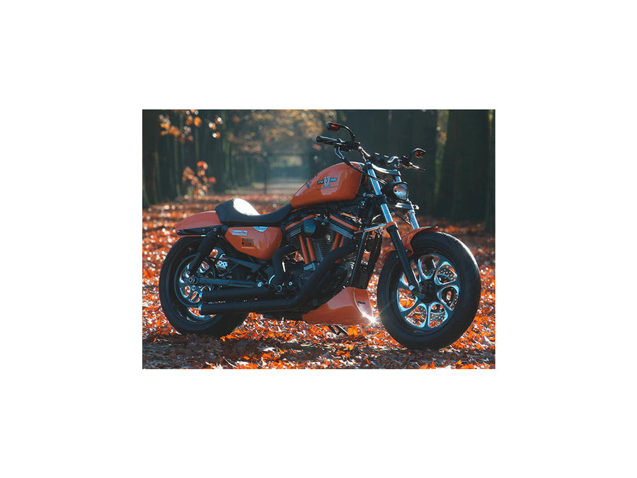 Harley Davidson Dyna [2000-2005]  -  Eliminator 7皮带盘黑1 1/8“ 70齿