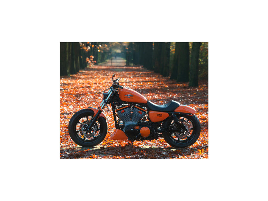 Harley Davidson Dyna [2000-2005]  -  Eliminator 7皮带盘黑1 1/8“ 70齿