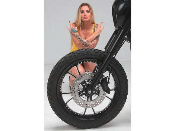 Harley Davidson Sportster [1986-2013] -T-5 Serie de medianoche por disco de freno de 2 partes ...