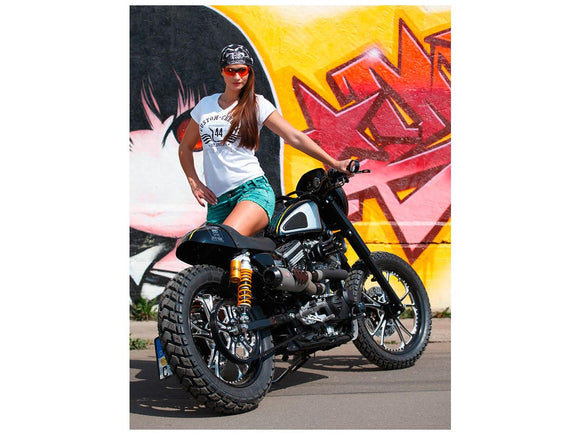 Harley Davidson Sportster [2014-2020] -T-5 2-delt bremseskive midnattserie