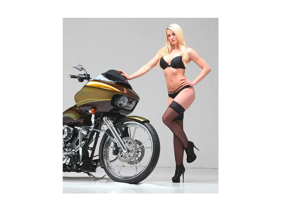 Harley Davidson Sportster [2014-2020] -T-5 2-часовой тормозный диск Chrome 11,8 "