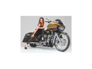 Harley Davidson Sportster [2014-2020] -T-5 2-часовой тормозный диск Chrome 11,8 "-9