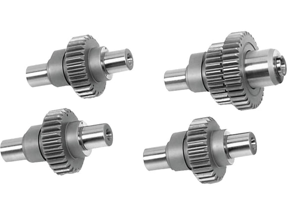 Harley Davidson Sportster [2000-2020]-N4 camshaft replacement eV