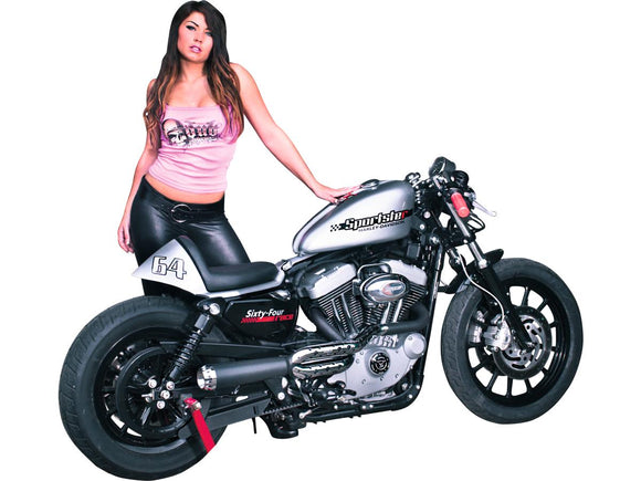Harley Davidson Sportster [2004-2020] -Heck for Sporter Cafe Racer Models
