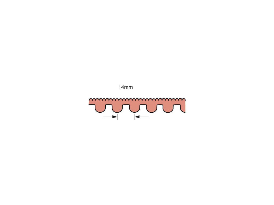 Harley Davidson Touring [2004-2006] -FALCON SPC STRAPE DE ROUEE ARRIÈRE FIBRE SPC 14 mm 1