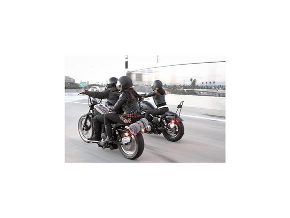 Harley Davidson Sportster [2004-2020] -High Sissy Bar con nero imbottito