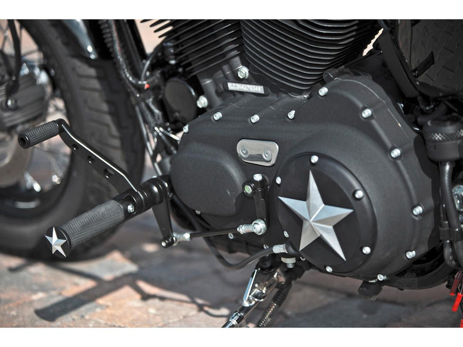 Harley Davidson Sportster [2004-2020] -Apen Mind Milk Cover 6-Hole Dos tonos