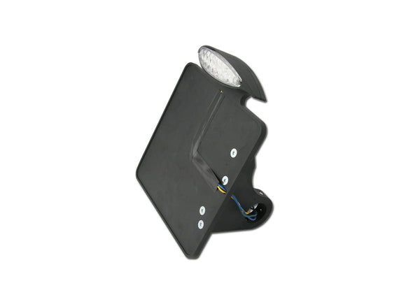 Harley Davidson-license plate holder on the side of the mini-LED