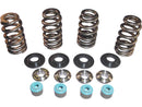 Harley Davidson Dyna [2005-2017] -05 TC Valve Spring STL CLR KNIMENTNÍ STRÁNKY-1