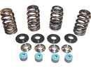 Harley Davidson Dyna [2005-2017] -05 TC Valve Spring STL CLR KNIMENTNÍ STRÁNKY-3