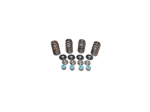 Harley Davidson Dyna [2005-2017] -05 TC Valve Spring Tit CLR Conical Valve Spring Kits