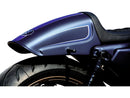 Harley Davidson Sportster [2004-2020]-Racing Backraw Raw-1