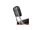 Harley Davidson Scout [2015-2024] -Paladine Backrest Chrome Steel-1