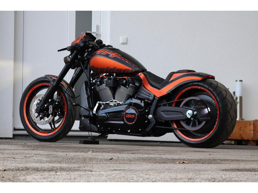 Harley Davidson FXDRS 114 Obszar zastosowania [2019-2020]-Zgromadzenie BIDE