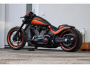 HARLEY DAVIDSON FXDRS 114 Oblast aplikace [2019-2020]-Shromáždění-13