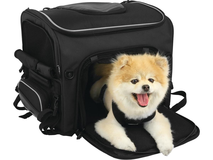 Harley Davidson - Route 1 Rover Pet Support Black