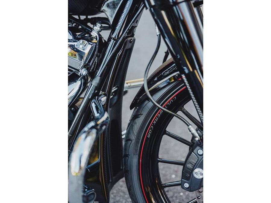 Harley Davidson Flhrxs [2021-2025] -Custom Chin Disguise pronto per la pittura