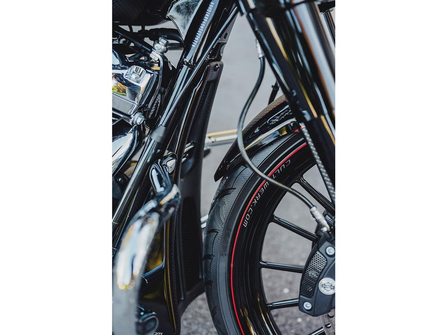 Harley Davidson Flhrxs [2021-2025] -Custom Chin Disguise pronto per la pittura
