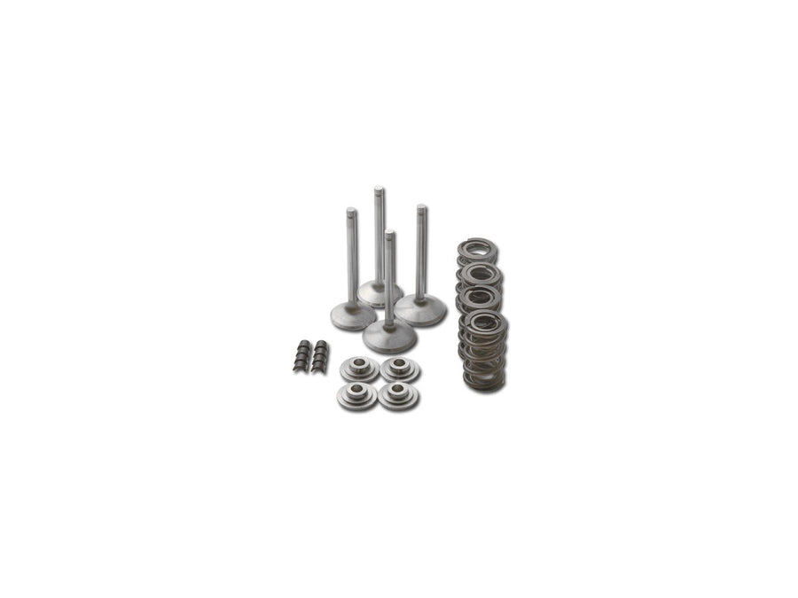 Harley Davidson FL Shovel [1966-1984] -RACE Master Valve Control Component Center