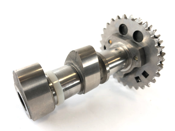 Aprilia RSV 1000 RR Factory [2009] - Цилиндр распределительного вала распределительного вала позади