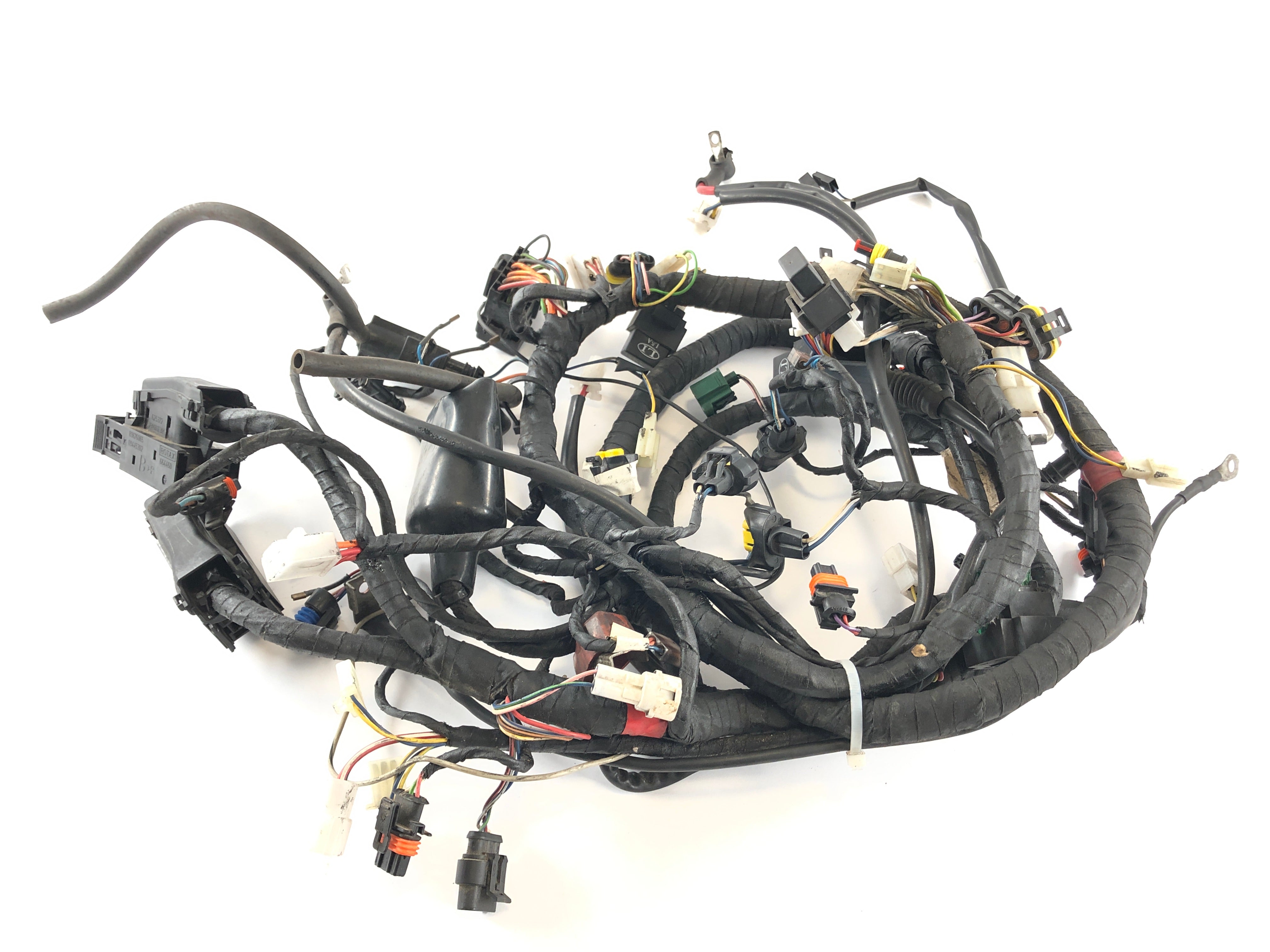 Aprilia RSV 1000 RR Factory [2009] - Wiring harness