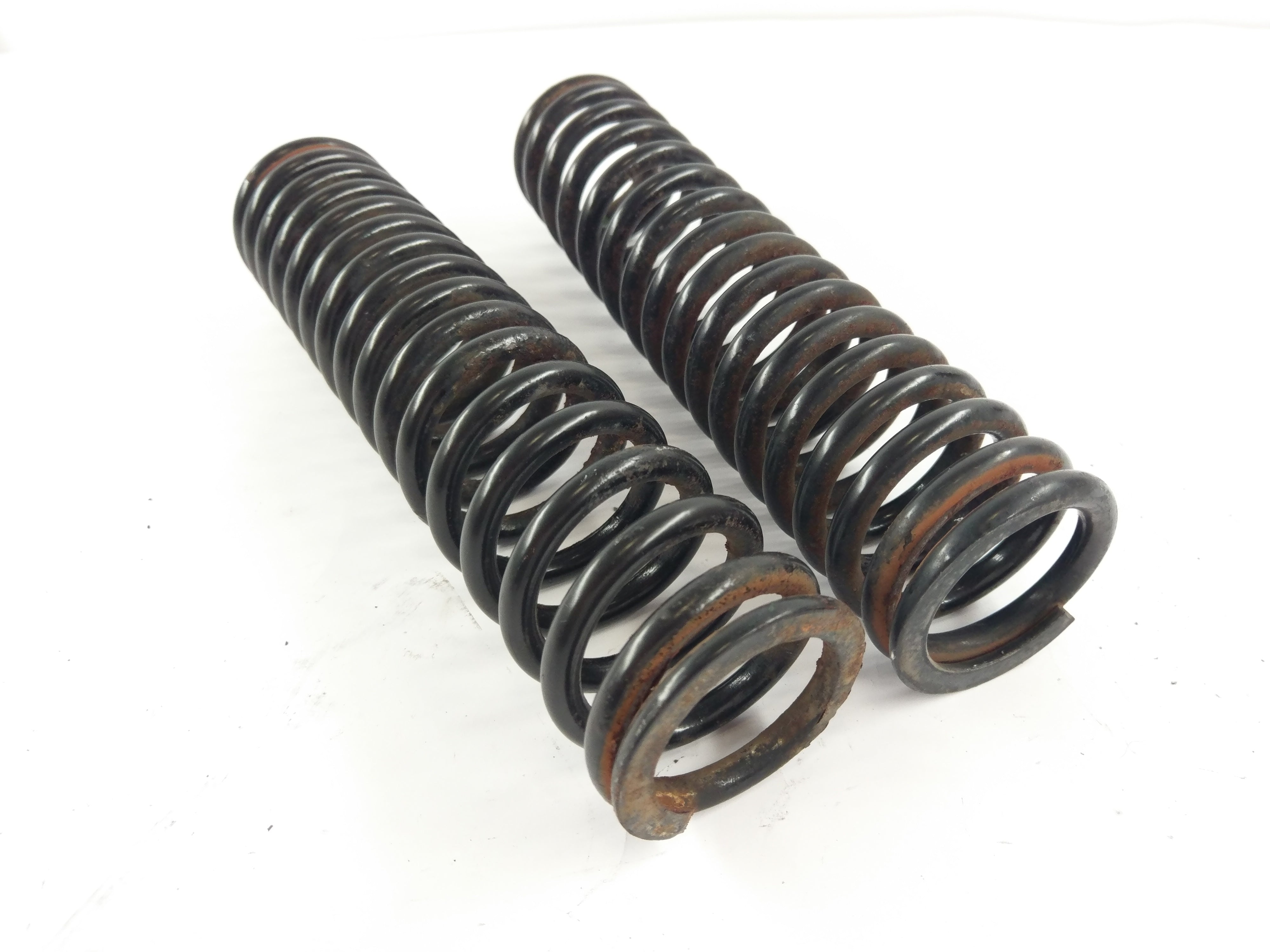 BMW R 100 CS [1983] - Springs Shock Absorber