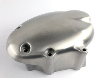 Triumph Thruxton 900 [2004] - Coperchio di copertura spot