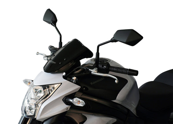 Kawasaki ER 6 N [2012-]-Touring Disc "T"