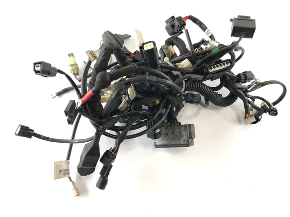 Husqvarna 701 Vitpilen [2018] - Cablaggio