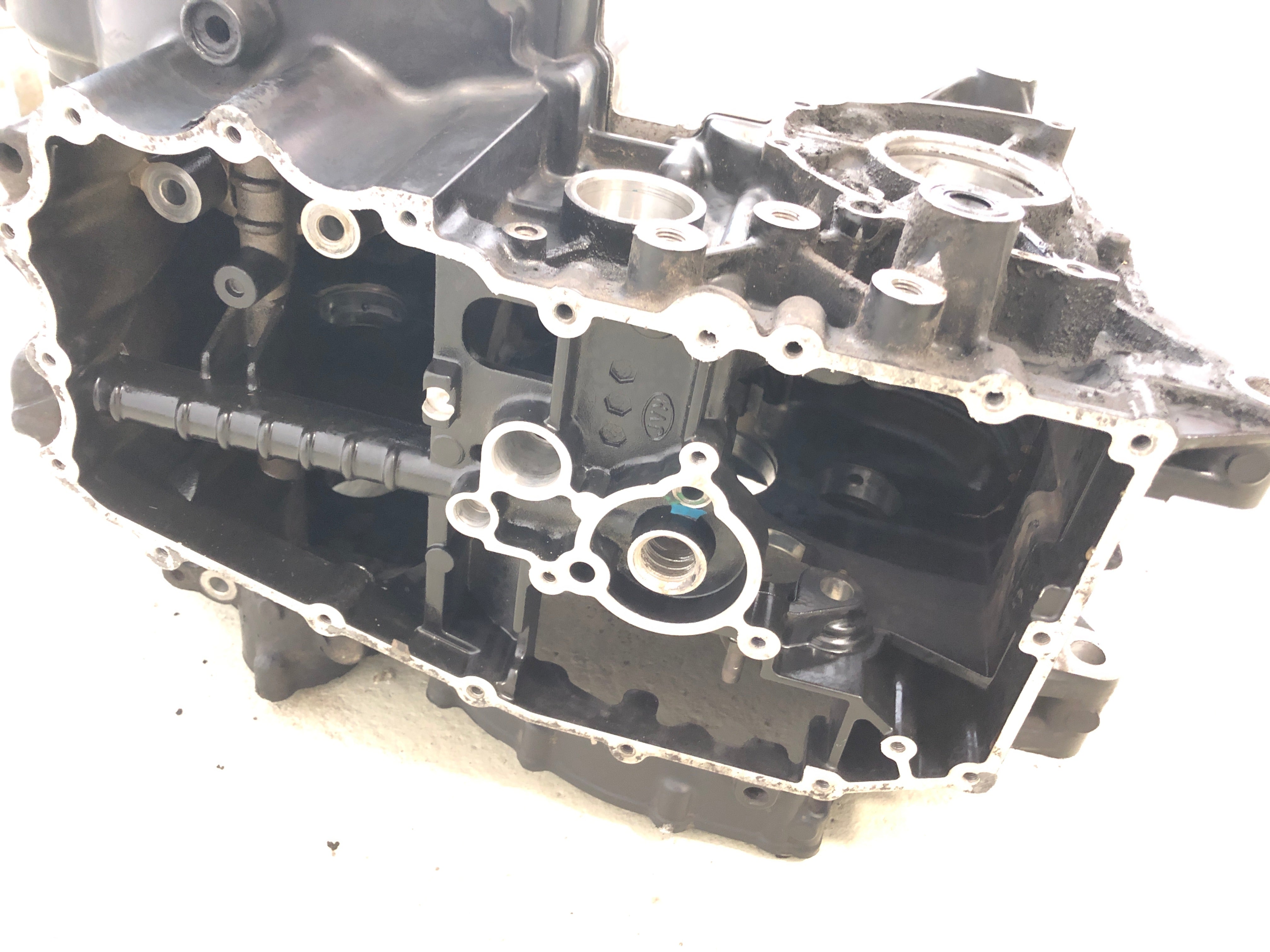 Triumph Tiger 955i 709EN [2001] - Engine block engine housing