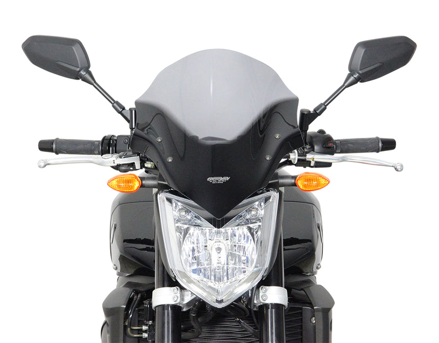 Yamaha FZ1 [2006-]-Kiertolevy "NTM"