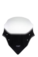 Yamaha FZ1 [2006 -] - Disc en tournée "NTM"-5