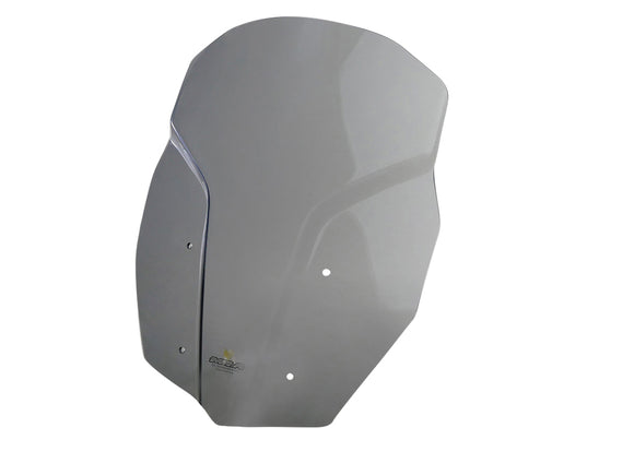 BMW F 800 GS [2024-]-touring disc "TM"