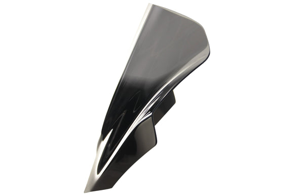 BMW F 800 R [2015-]-Racing disc "R"