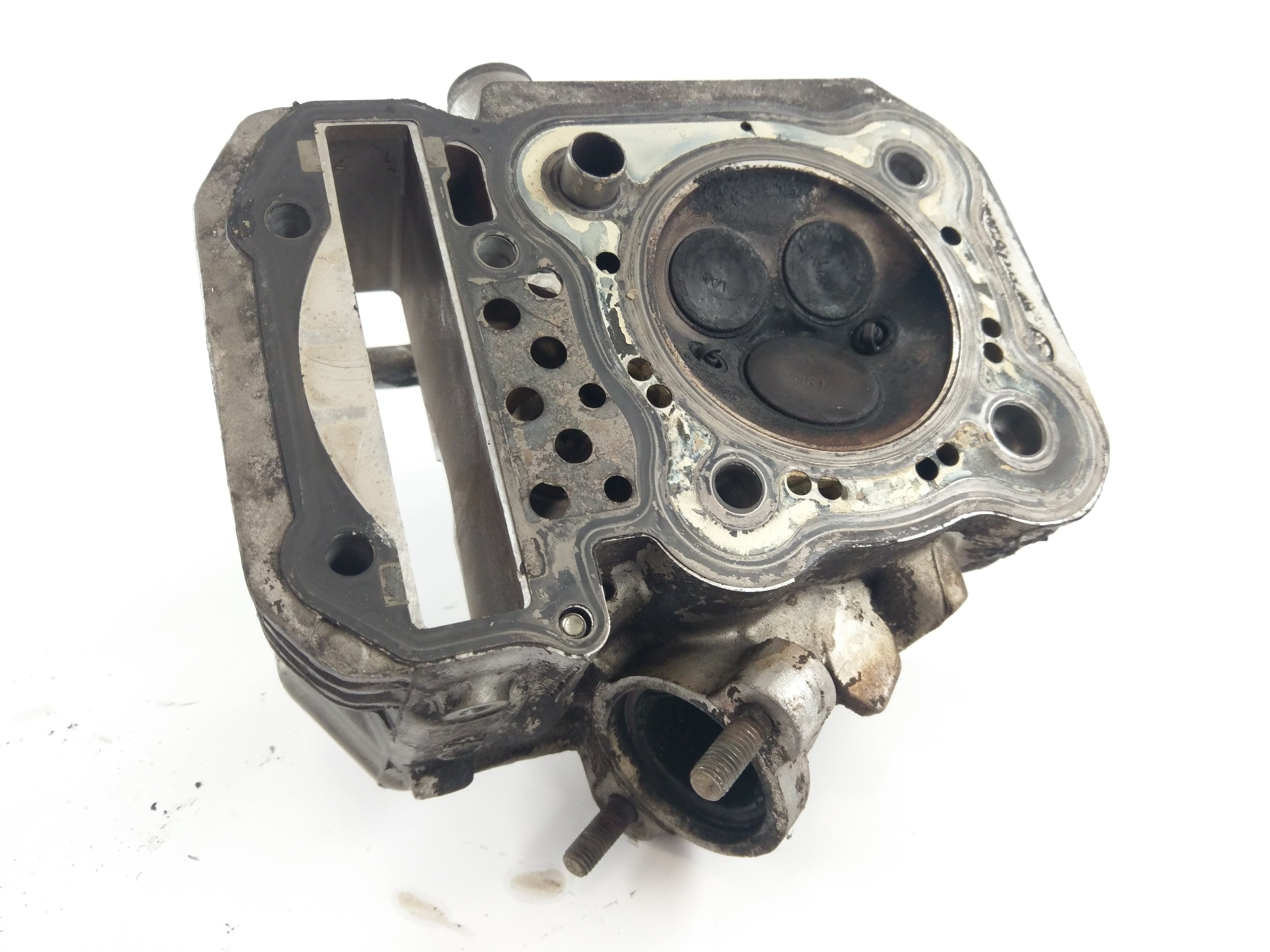 Honda XRV 750 Africa Twin RD04 [1991] - Cylinder head